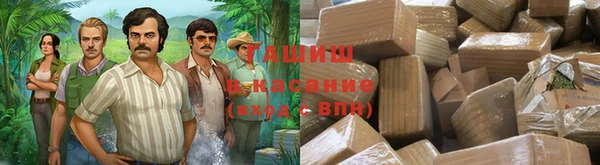 гидра Михайловка
