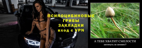 гидра Михайловка