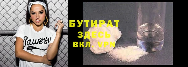 гидра Михайловка