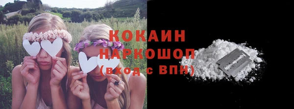 гидра Михайловка