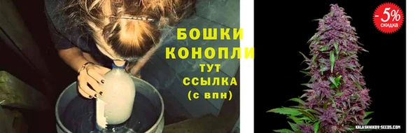 гидра Михайловка