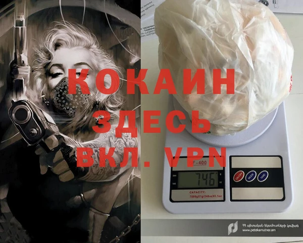 гидра Михайловка
