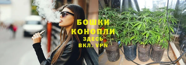 гидра Михайловка