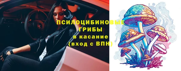 гидра Михайловка
