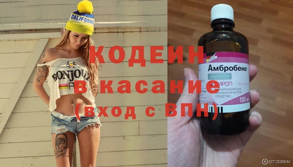 гидра Михайловка